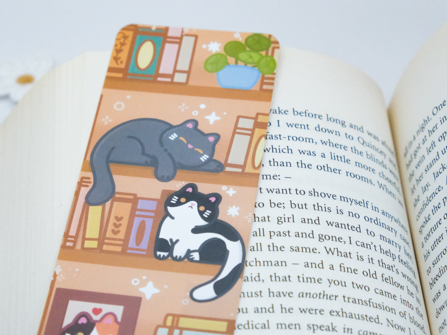 Marque-page pour les amoureux des chats et des livres