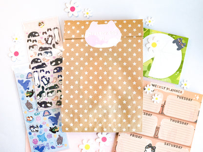 B-Grade Stationery Mystery Bag - Size M