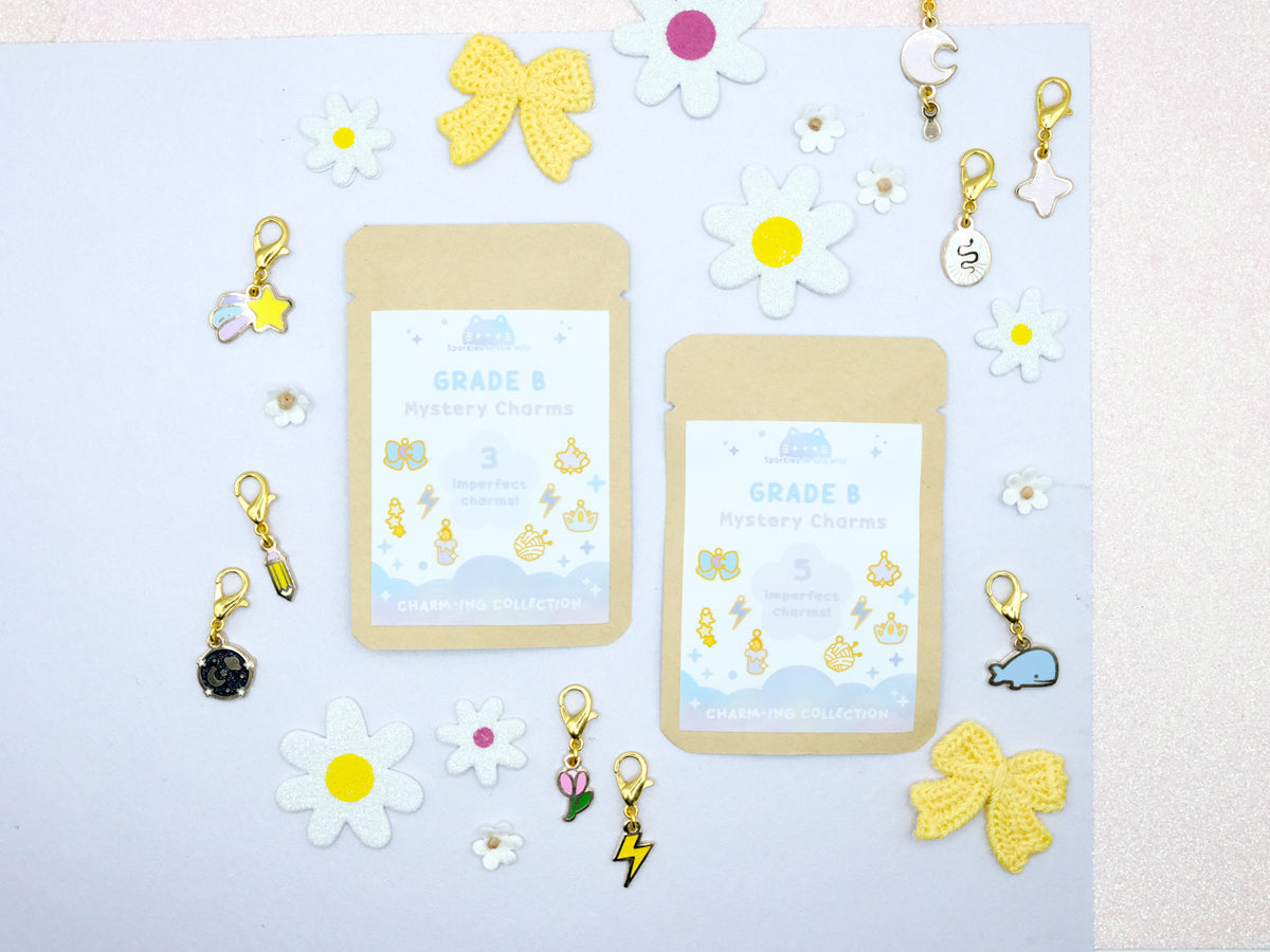 B Grade Charms Mystery Bag