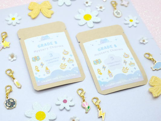 B Grade Charms Mystery Bag